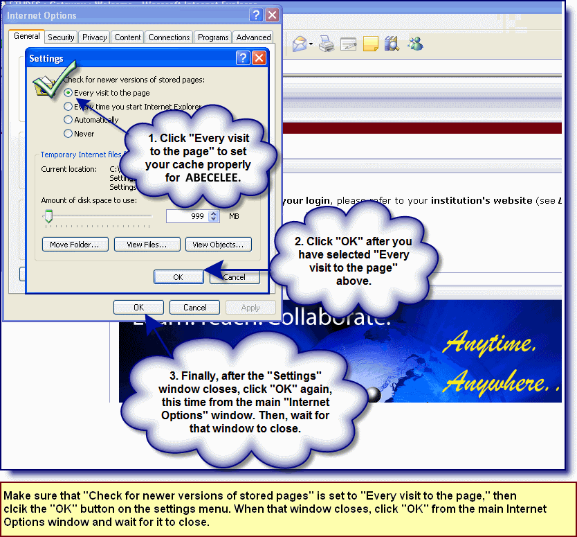 Screenshot illustrating how to set your Internet Explorer browser cache to run ABECELEE on a PC.
