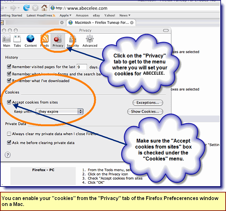 Screenshot showing how to set the Firefox browser cookies on a Mac to run ABECELEE.