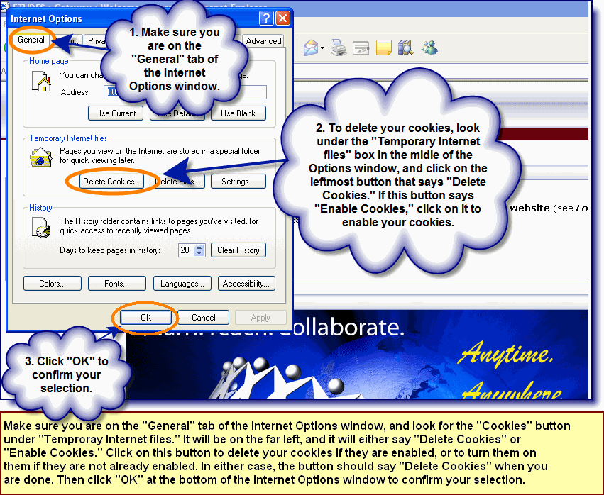 Screenshot illustrating how to set the "cookies" in Internet Explorer on your PC for ABECELEE to run properly.