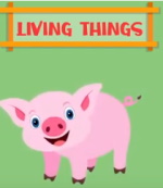 Living_and_Non_living_Things