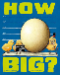 book_mycapstonelibrary_how_big