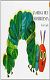 book_oruga