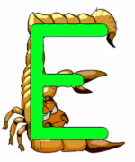istation_e